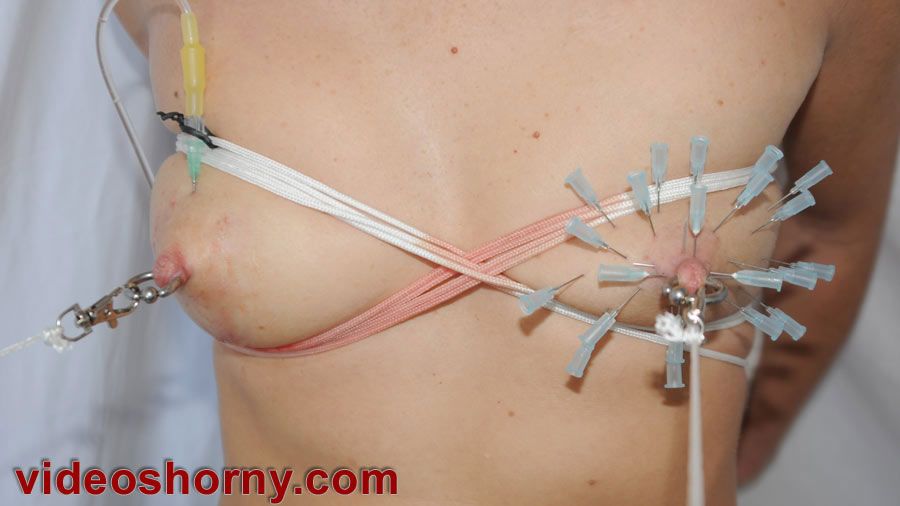 CatвЂ™s E. reccomend needles torture nipples