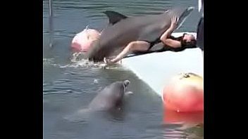 Dolphin fucks its naked female trainer