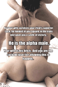 Cuckold alpha male