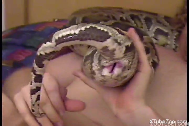 Gucci reccomend snake in vagina